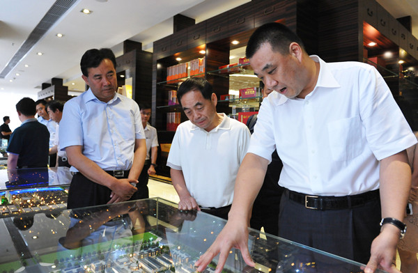 青海省领导考察康美互联网+大健康+大金融 