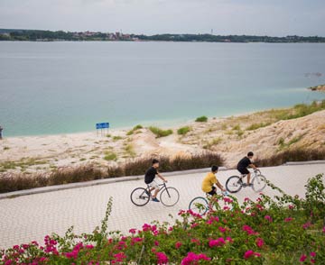 沙窝窝长出金蛋蛋 _ 经济参考网 _ 新华社《经