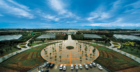 陕西杨凌:深化农村金融改革的破冰者