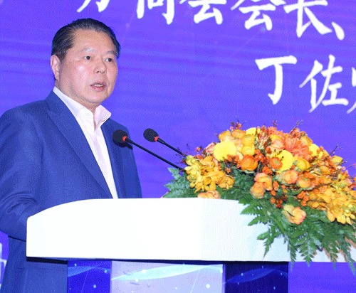 丁佐宏:以大情怀大境界大作为大担当大格局弘扬张謇精神