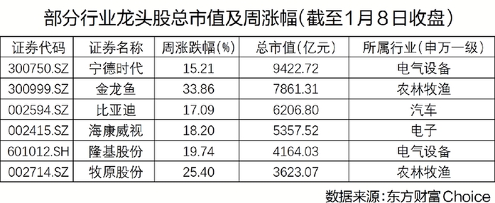 资金抱团头部企业 注册制下市场优胜劣汰功能加强
