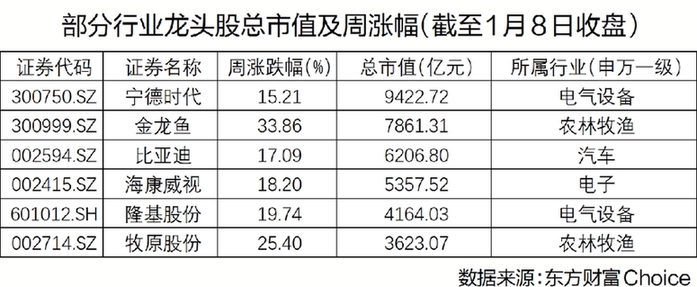 资金抱团头部企业 注册制下市场优胜劣汰功能加强