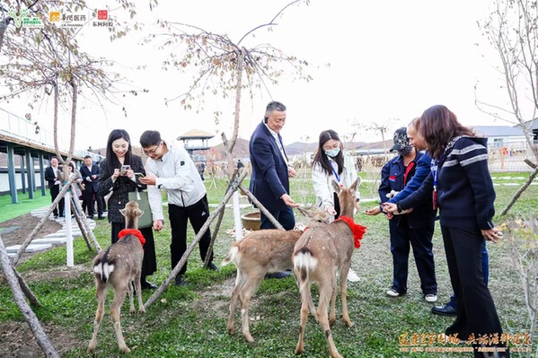 ManBetX万博东北参茸：优质特产如何做成优势产业？(图2)