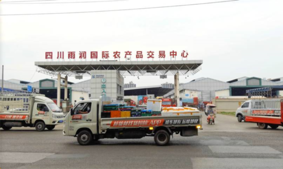 沿着“四好农村路” 数字货运助力“西部菜都”蔬果进城(图3)