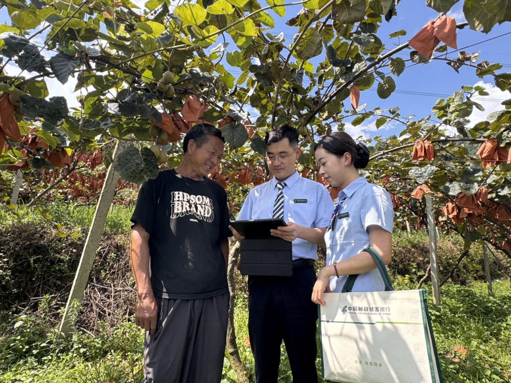 “三农”沃土的“邮储答卷” 邮储银行普惠型涉农贷款余额突破1万亿元