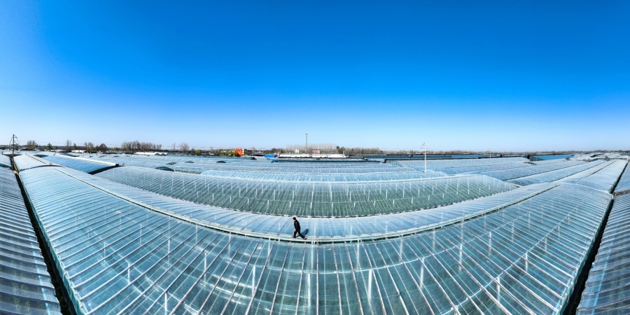 从蔬菜大县到农业强县——莘县现代农业发展的质变之路(图2)