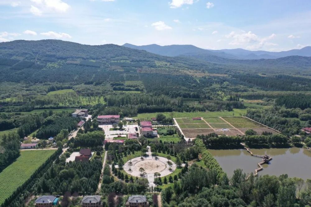 龙江森工集团:十年笃行护林海逐绿奋进新征程(图1)