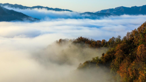 秦巴深处“好光景”