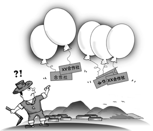 农民专业合作社严重虚胖