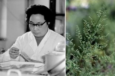 3000万病例归零&mdash;&mdash;中国获世卫组织&ldquo;无疟疾国家&rdquo;认证 全球抗疟形势依然严峻