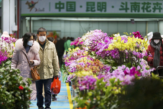 新春走基层｜“花潮”涌动春意浓