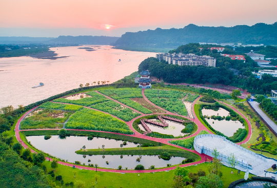 五粮液：担当长江上游保护责任 打造中国白酒生态标杆