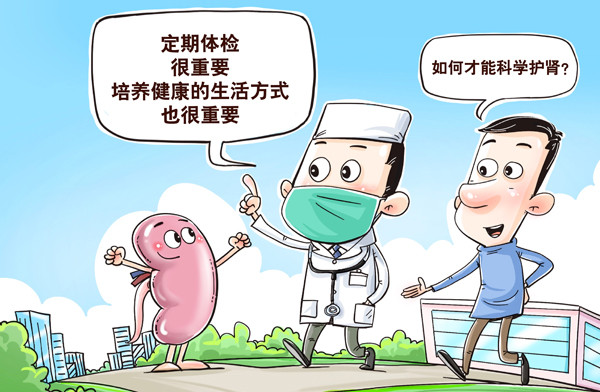 如何才能科学护肾？