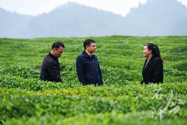 躬身为桥 紧盯供需连接山海 ——记广东省粤黔协作工作队铜仁工作组石阡小组组长，石阡县委常委、副县长李浩泉