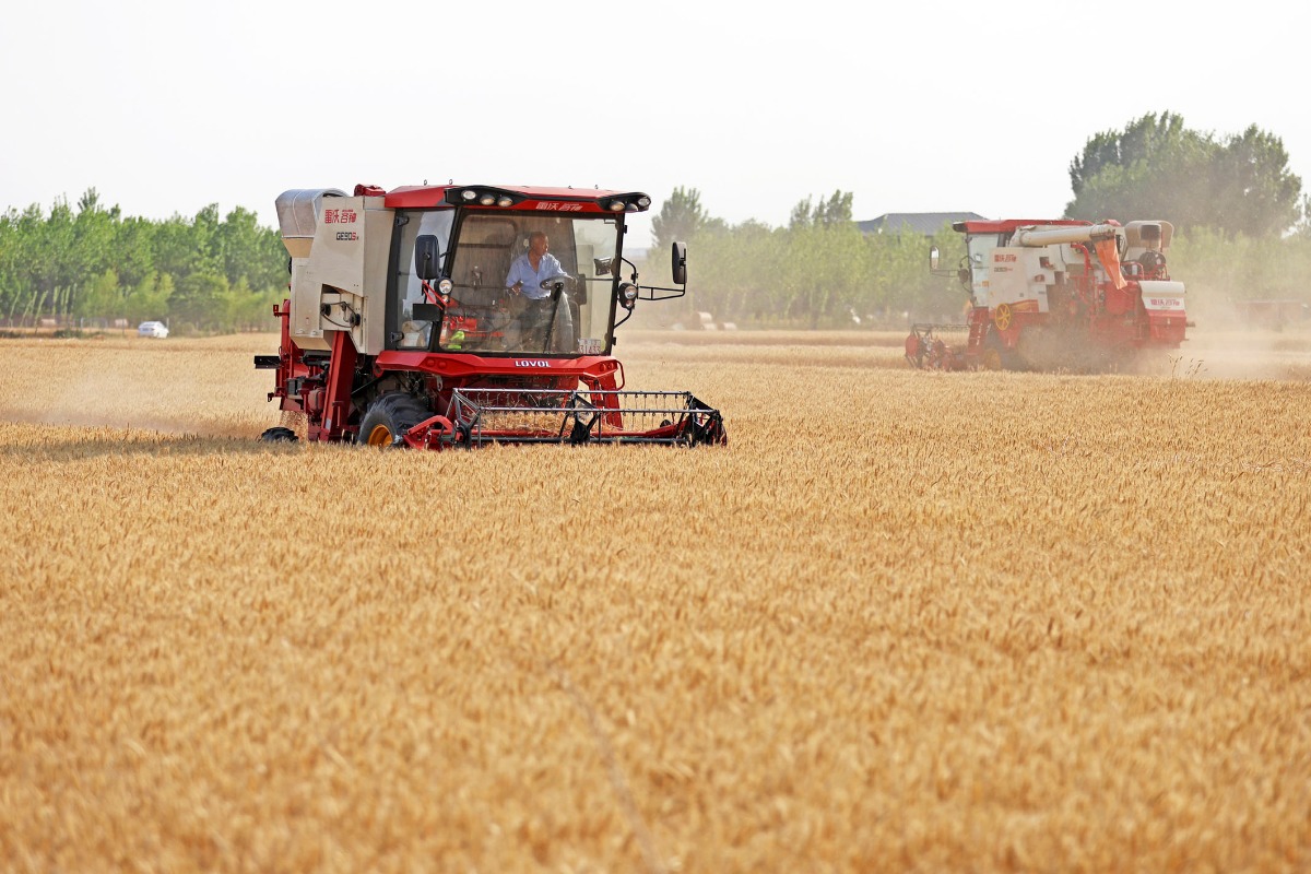 全国“三夏”大规模小麦机收全面展开