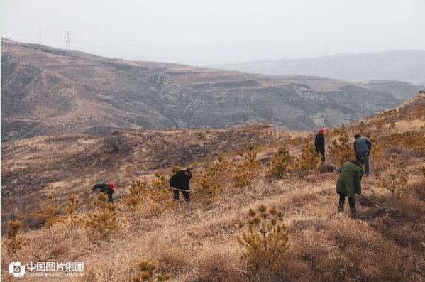从“靠山吃山”到“靠山养山”“靠山富山”