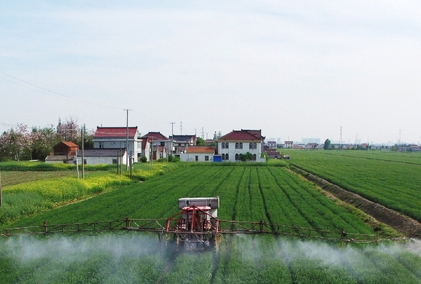 江苏海安:春耕生产进入高潮