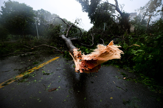 强台风"山竹"登陆广东