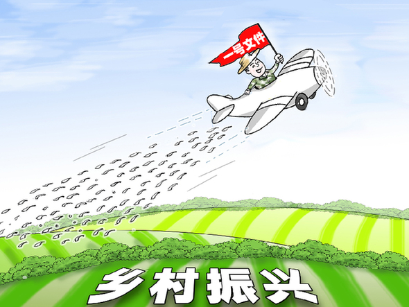 路径明确 多方发力全面推进乡村振兴