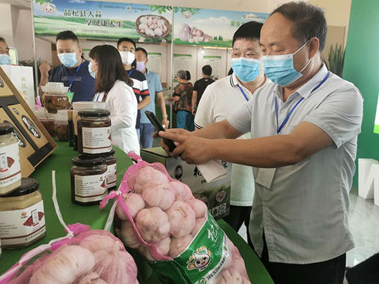 2021年第十一届中国(杞县)大蒜节举行