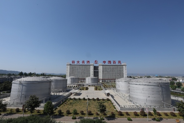 夏坚守与开拓西凤酒坚持绿色发展推动品牌国际化